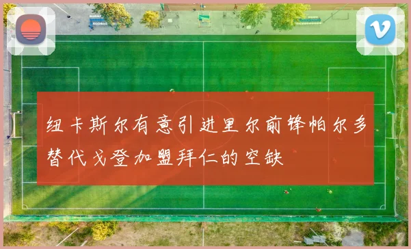 纽卡斯尔有意引进里尔前锋帕尔多替代戈登加盟拜仁的空缺